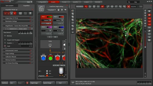 How to Set Up Timelapse Experiments in LAS X смотреть онлайн