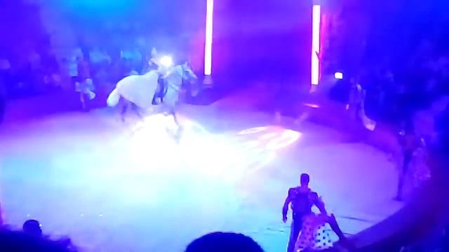 Вот паслушная лашадка💕💓💖💖💖❤️❤️ смотреть онлайн