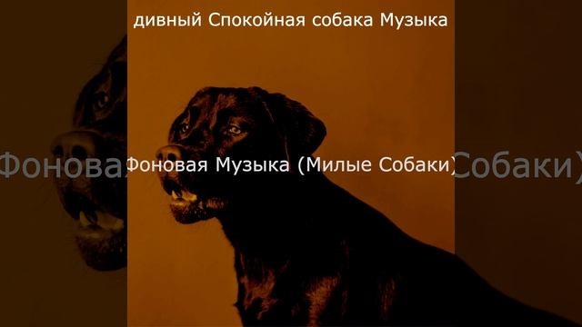 Музыка (Расслабляющие собаки) смотреть онлайн