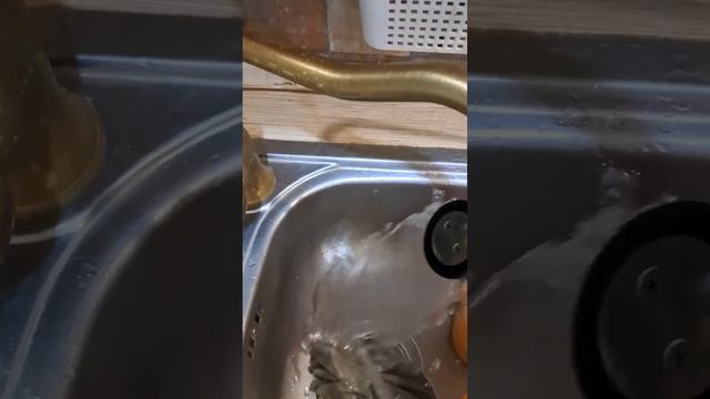 кофемашина с автоматическим капучинатором Tuvio TCM05AA смотреть онлайн