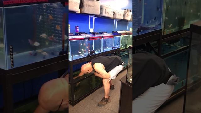 OMG my African Lung fell 😳🐬 смотреть онлайн