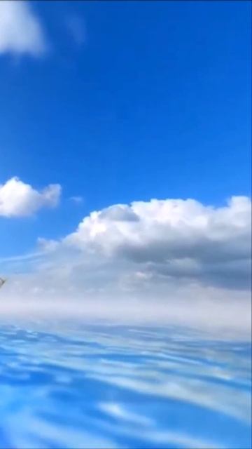 лучшее пожелание #shorts