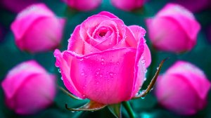 🌿 ЧАРУЮЩАЯ НЕЖНОСТЬ! ДО СЛЁЗ НЕВЕРОЯТНО КРАСИВАЯ МЕЛОДИЯ! 🎵 САМАЯ ДУШЕВНАЯ МУЗЫКА НА СВЕТЕ!