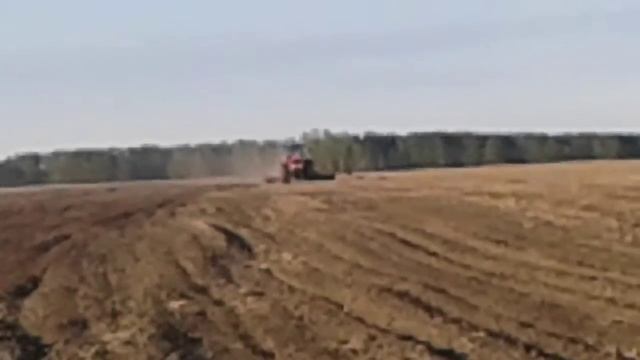 посевная 2017 белорус 3522 + апп 6 смотреть онлайн