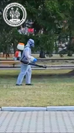 Дезинсекция в парках города