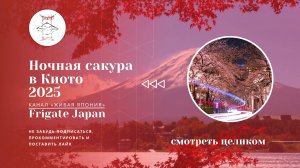 Ночная Сакура Киото 2025