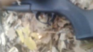 Охота на фазана. HATSAN MOD 70