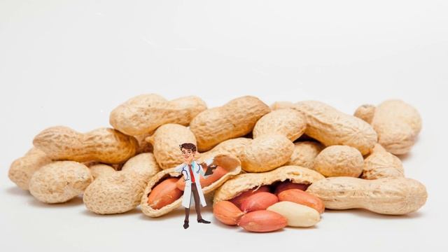 Kosumoni çdo ditë një grusht me kikirikë dhe lajthi, ja benefitet që të keni смотреть онлайн