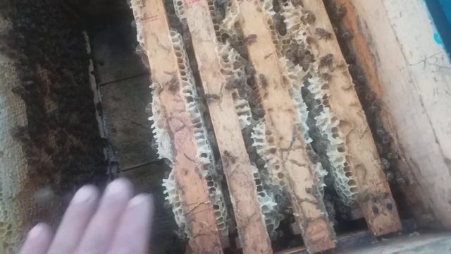 Занбури махали 2022..👍👍👍👍👍👍 смотреть онлайн