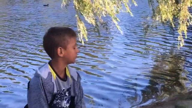 Рыба мини смотреть онлайн