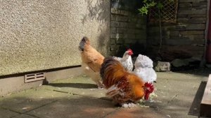 167. Неужели здравый смысл начинает побеждать и в Британии.