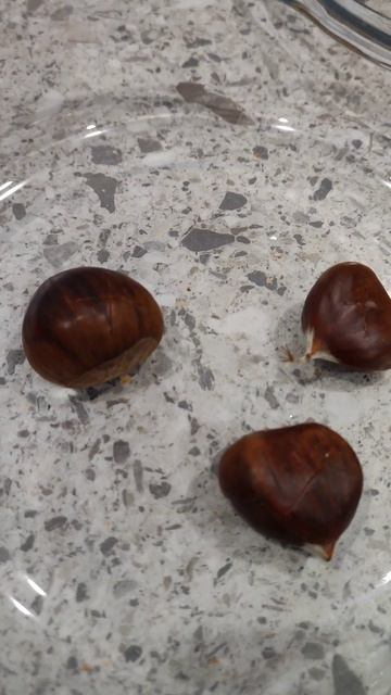 Chestnut cooking смотреть онлайн