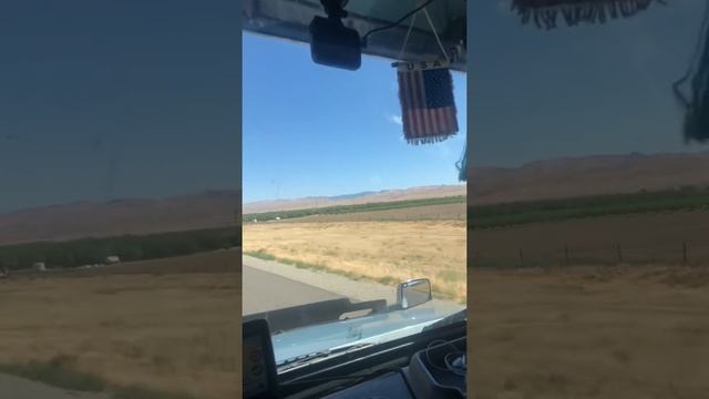 Сады в США, Калифорния: Interstate-5 смотреть онлайн