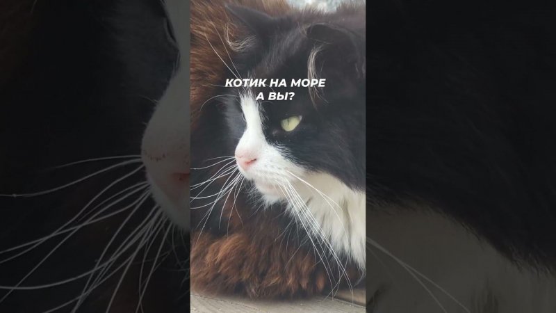 Вот бы сейчас тоже очутиться на море и слушать шуршащие волны  #туризм #travel #seafood #тур #туры