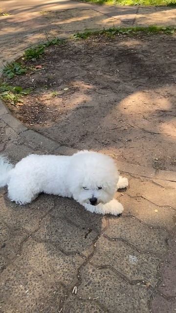 5 августа 2024 г. смотреть онлайн