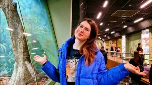 126. Переехали в Россию / Зоопарк Москвы / Дом, в котором я жила / Плющиха