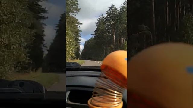 Смеётся гад что мы грибов ненашли в лесу..... смотреть онлайн