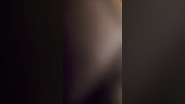 Туториал по бумажной собаке 1 часть смотреть онлайн