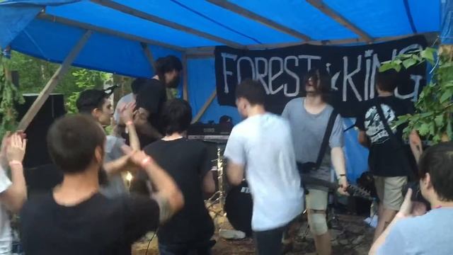 Lonely states - Пропасти. (Reunion show) 18.06.2016 Forest King fest Voronezh) смотреть онлайн