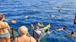 Египет ЛЕТОМ 🇪🇬 Самые НИЗКИЕ цены на туры❗️ Лететь или НЕТ? Плюсы и минусы ОТДЫХА сегодня