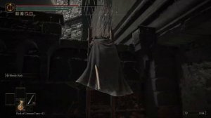 Scadutree Avatar Secret Boss Location Elden Ring DLC