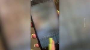 Еще один концлагерь для животных обнаружили зоозащитники в Нижнем Новгороде