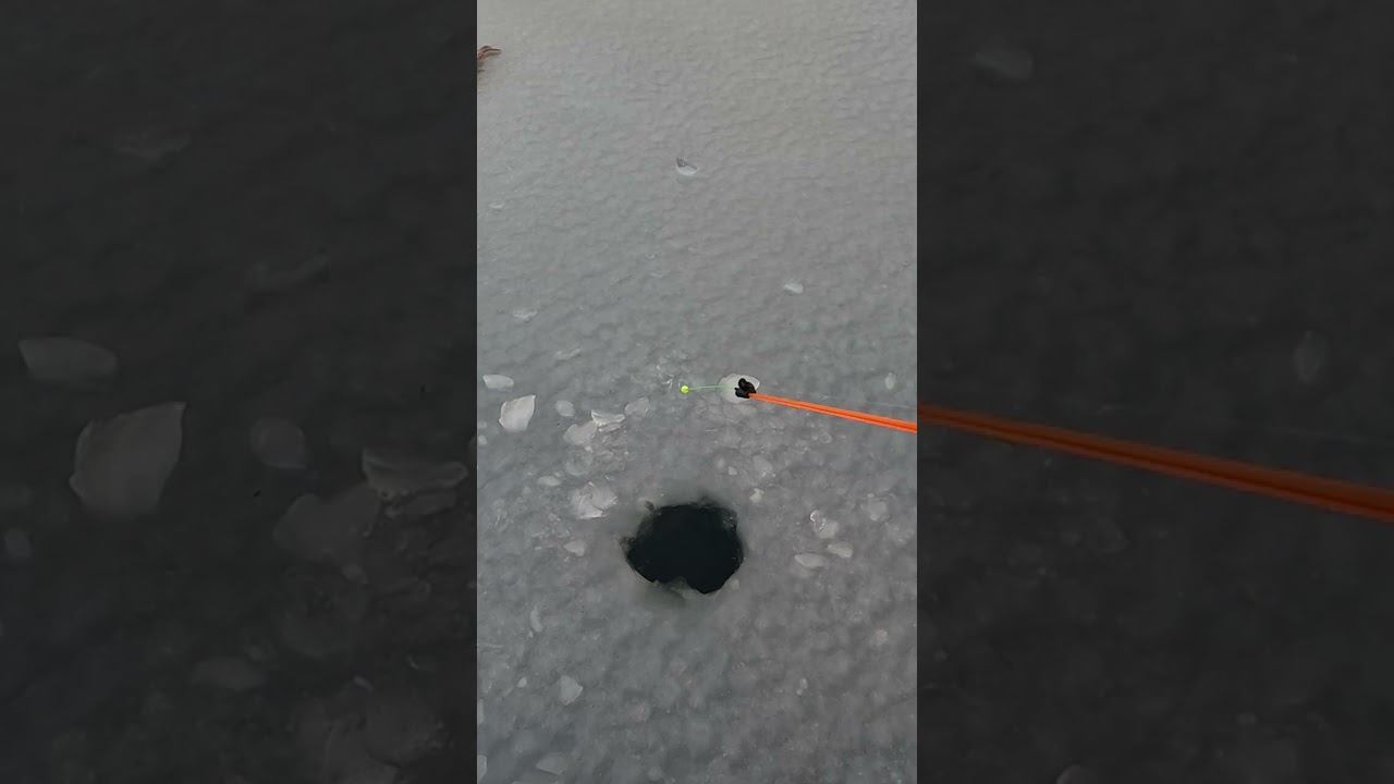 Ловля окуня зимой