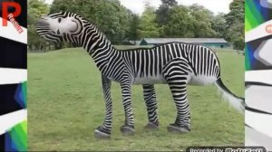 Как бы выглядили детские рисунки в реальной жизни ужас умора 😂😱 #2