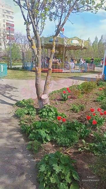Цветущий Таганрог, парад тюльпанов.
