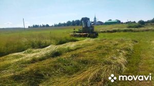 #Немецкая косилка#трактор 🚜#сенокос