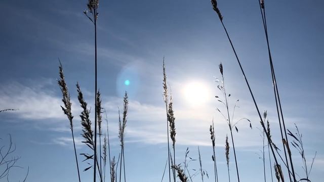 Май смотреть онлайн