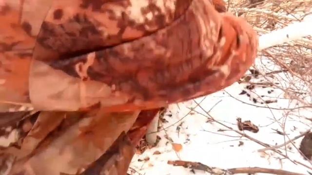 охота на енотовидную собаку с отцепом, в домике.. попался как медвежонок