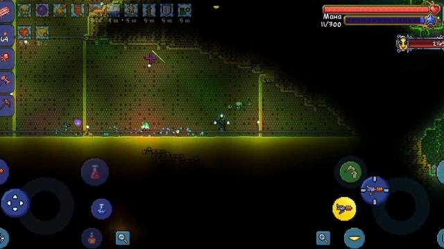 Terraria  Королева пчёл за мага эксперт