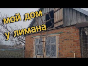 с.Александровка. Работаем во дворе. Жабы спрятались. Яма. Чердак, новые находки.
