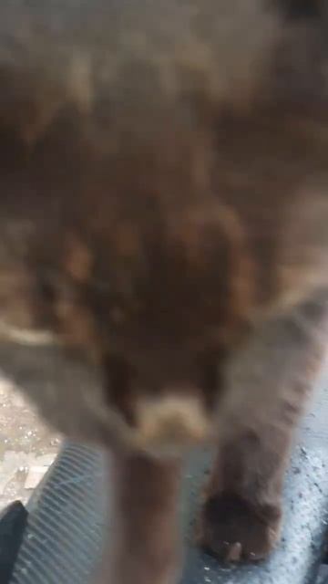 Jadi incaran bnyk Orang ...Scara Manis, Cantik,Gemoy ,Menggemaskan.💋⚘ смотреть онлайн