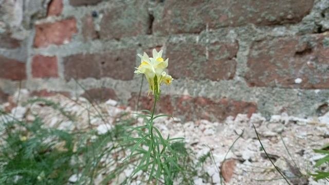 восстановление