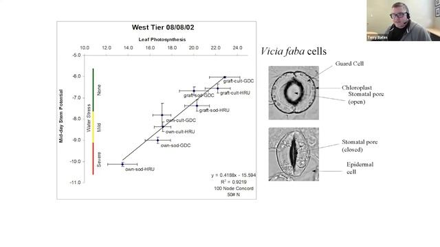 Between The Vines S3E11: #3 with Dr. Bates: Concord Vine Excavation Study - own rooted vs 3309 смотреть онлайн