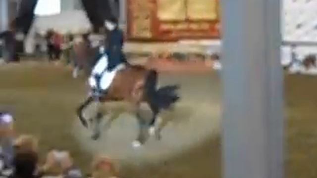 Эквирос2013-кусочек выездки на орловце смотреть онлайн