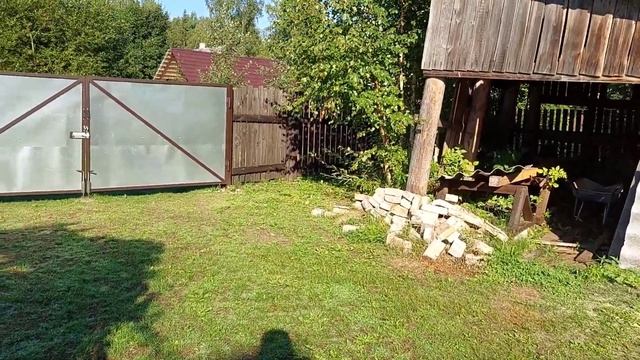 15.08.22 Новое увлечение / Покусали пчёлы🐝 смотреть онлайн