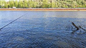 Рыбалка в центре города. Оренбург