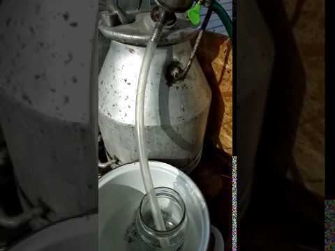 САМОГОНЩИКИ (новая версия)