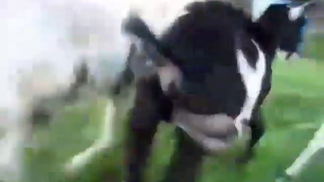 Дзинь смотреть онлайн