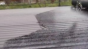 Инструкция по применению масла WPC Protector Black Fox для террасной доски ДПК