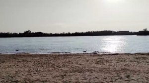 ОМСК. ИРТЫШ. АПРЕЛЬ 2025.