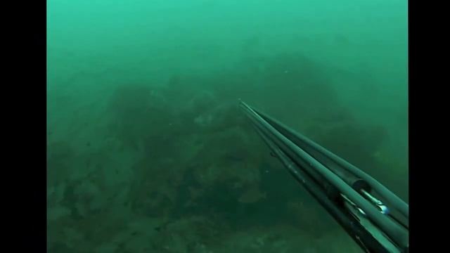 Spearfishing - Chasse sous-marine - Spanish Mackerel - смотреть онлайн