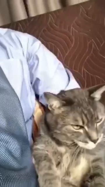 🐾 Людям не понять🙃