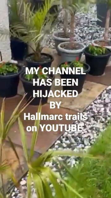 MY CHANNEL HAS BEEN HIJACKED by hallmarc trails on YOUTUBE смотреть онлайн