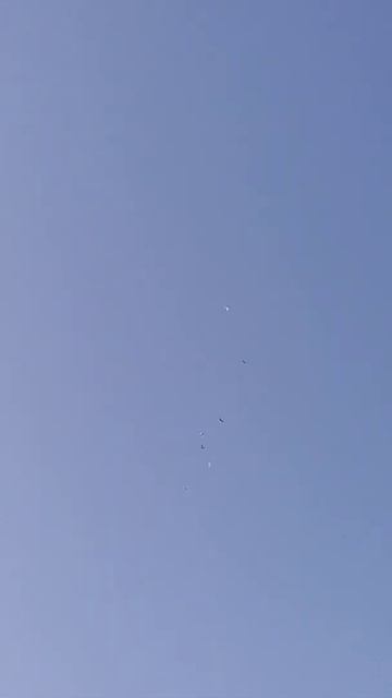 Голуби бойные. Иранцы, пакистанцы смотреть онлайн