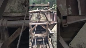 Трактор Тдт -55 -трилує ліс.