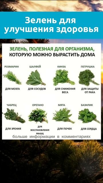 не просто зелень... смотреть онлайн